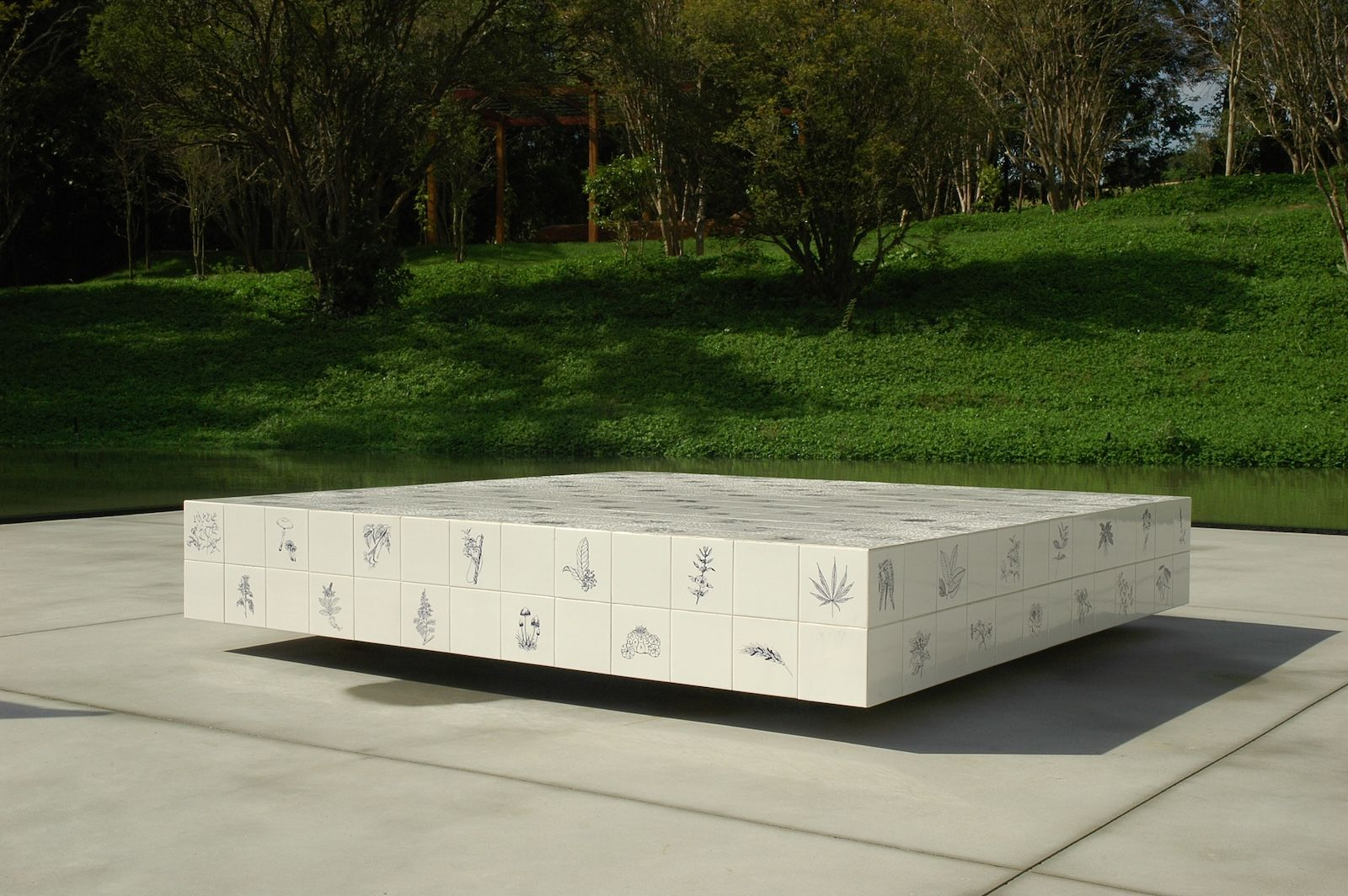 Varejão: Adriana Varejão, Πανάκεια η Φανταστική, 2008