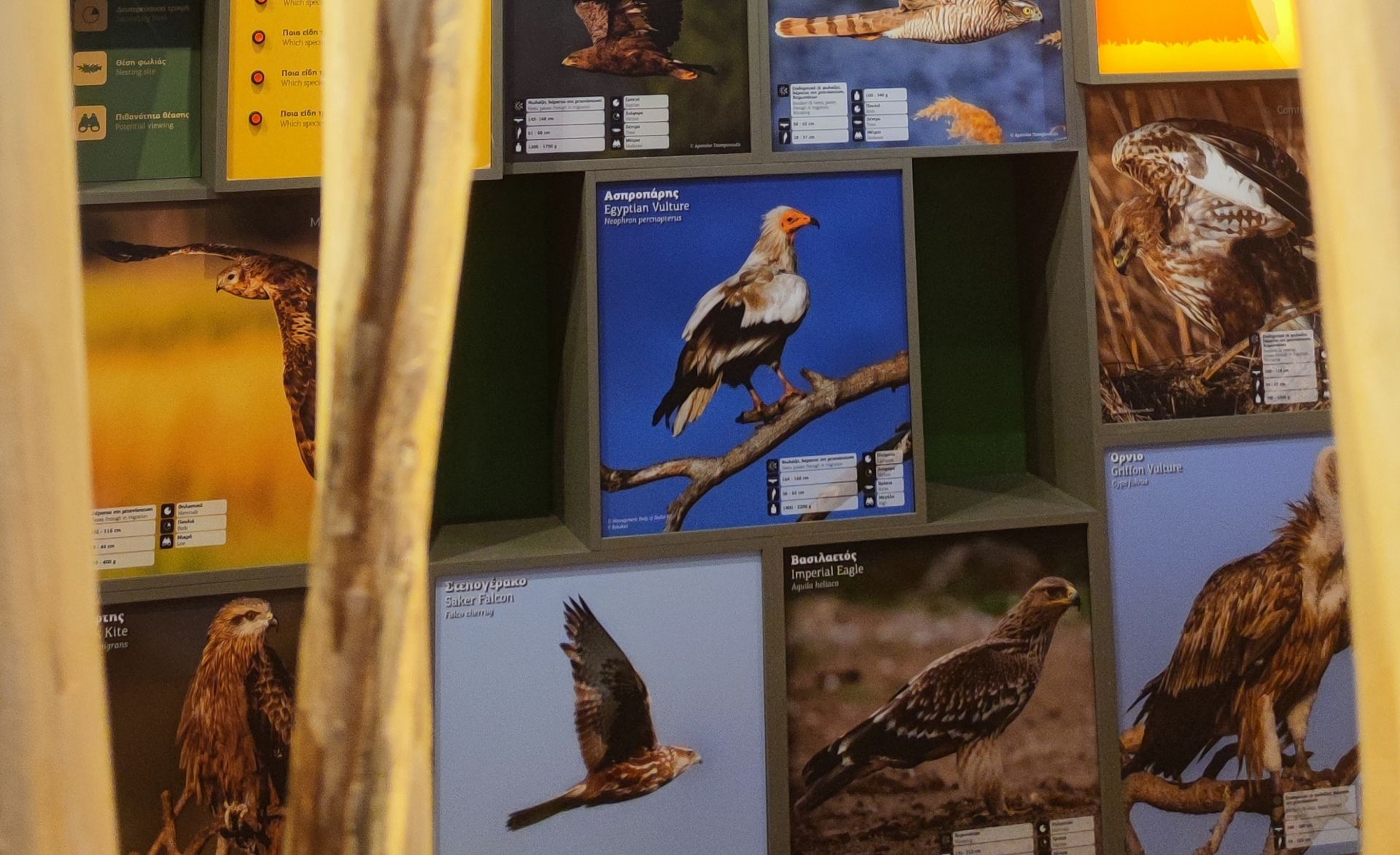 Κέντρο Ενημέρωσης Δάσους Δαδιάς – Λευκίμης – Σουφλίου