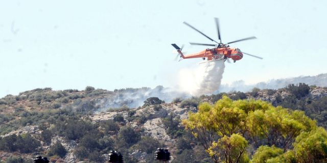 Λάρισα: Φωτιά σε δασική έκταση του Δήμου Τεμπών