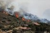 Πυροσβεστική: 38 πυρκαγιές το τελευταίο 24ωρο σε όλη τη χώρα