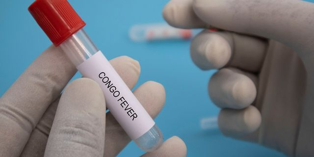 Κρούσμα αιμορραγικού πυρετού Κριμαίας-Κονγκό στην Ελλάδα – Κατέληξε ένας άνδρας