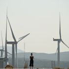 Αυτοψία στο αιολικό πάρκο απ’ όπου ξεκίνησε η φωτιά της Αττικοβοιωτίας – Ενδείξεις για σοβαρές αστοχίες
