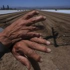Το κυνήγι μεταναστών καθηλώνει τον αγροτικό τομέα στις ΗΠΑ