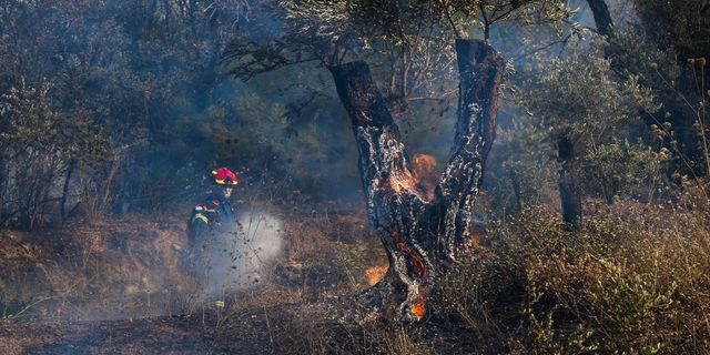 Γιατί καίγεται η Χίος τόσες μέρες – Ο θλιβερός απολογισμός της φωτιάς