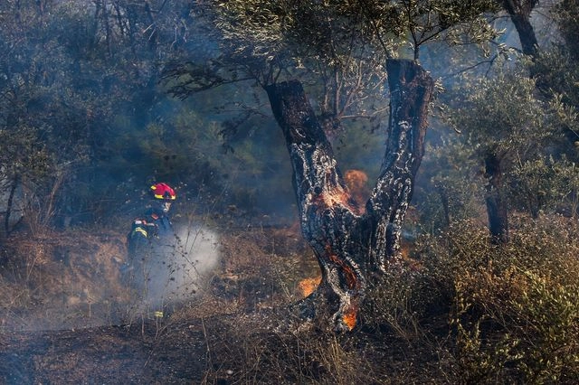Γιατί καίγεται η Χίος τόσες μέρες – Ο θλιβερός απολογισμός της φωτιάς