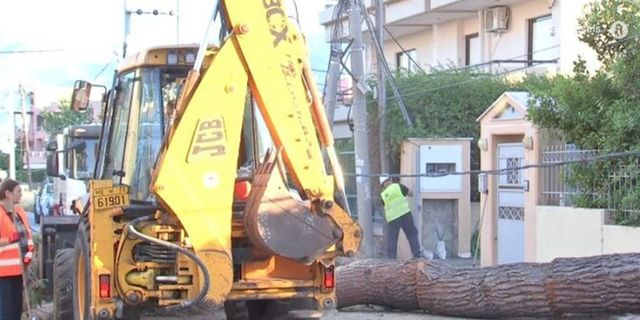 Κηφισιά: Δέντρο 15 μέτρων έπεσε σε κολώνα της ΔΕΗ – Ζημιές σε αυτοκίνητο