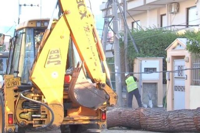 Κηφισιά: Δέντρο 15 μέτρων έπεσε σε κολώνα της ΔΕΗ – Ζημιές σε αυτοκίνητο