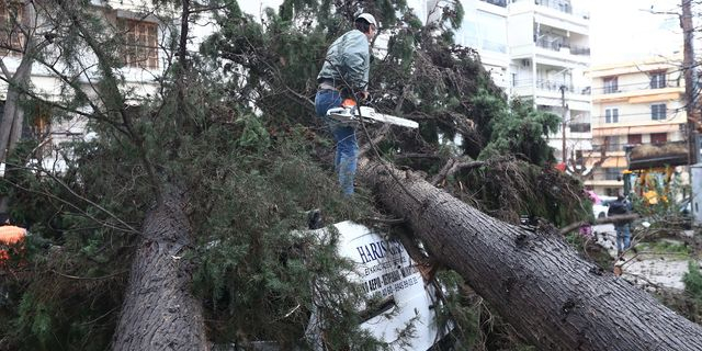Θεσσαλία: Πάνω από 250 κλήσεις δέχτηκε η Πυροσβεστική λόγω των ισχυρών ανέμων