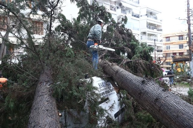 Θεσσαλία: Πάνω από 250 κλήσεις δέχτηκε η Πυροσβεστική λόγω των ισχυρών ανέμων