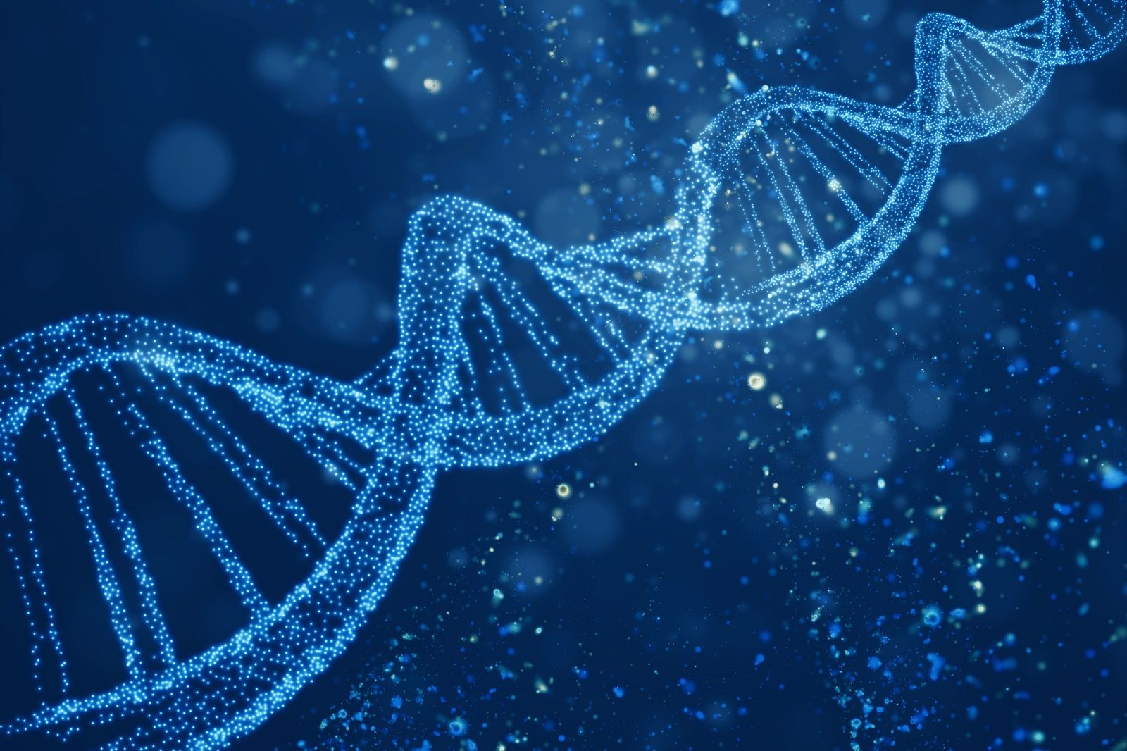 Ψηφιακή αναπαράσταση του DNA