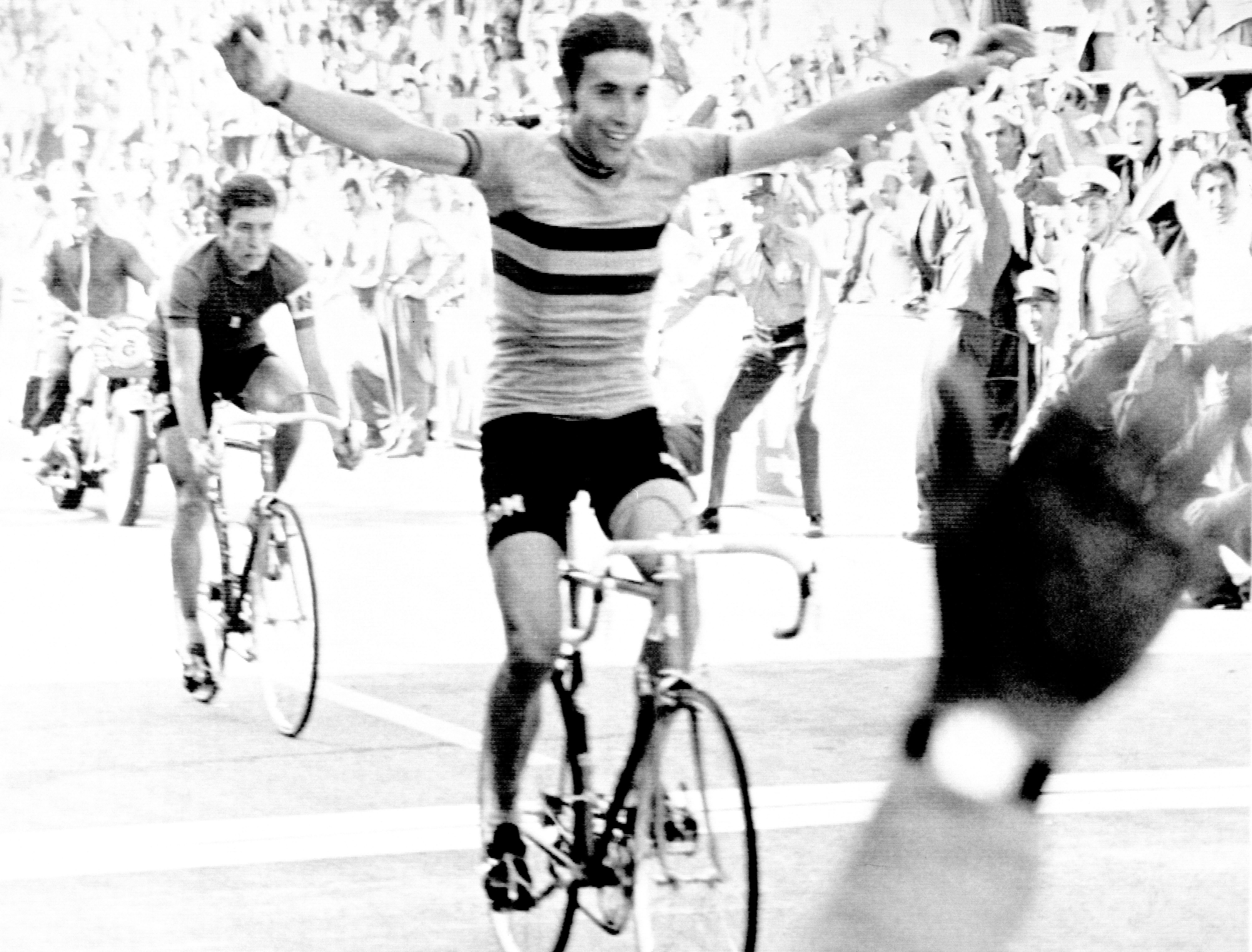 Eddy Merckx
