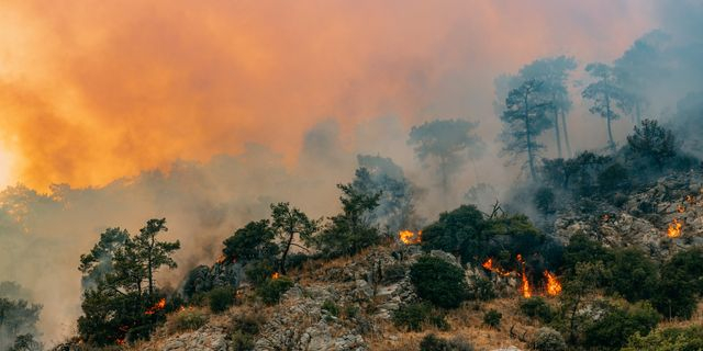 Κλιματική Κρίση (φωτογραφία αρχείου)
