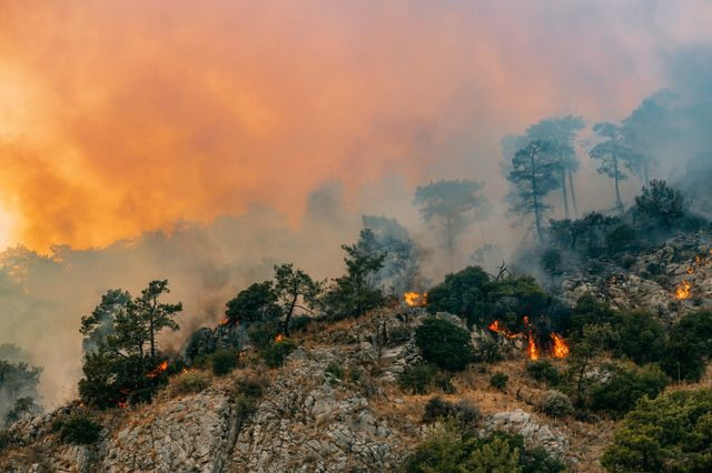 Κλιματική Κρίση (φωτογραφία αρχείου)