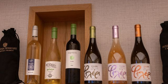 Το Messinia Terroirs Wine Festival 2025, το καλύτερο … μέχρι το επόμενο