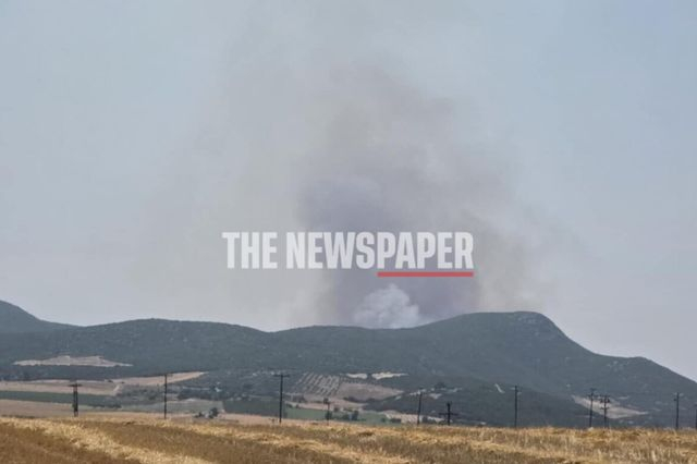 Μεγάλη φωτιά στην Κοκκίνα, στα όρια Μαγνησίας-Λάρισας