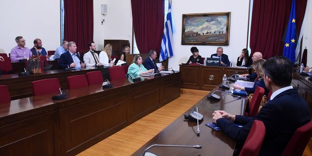ΔΙΑΡΚΗΣ ΕΠΙΤΡΟΠΗ ΜΟΡΦΩΤΙΚΩΝ ΥΠΟΘΕΣΕΩΝ