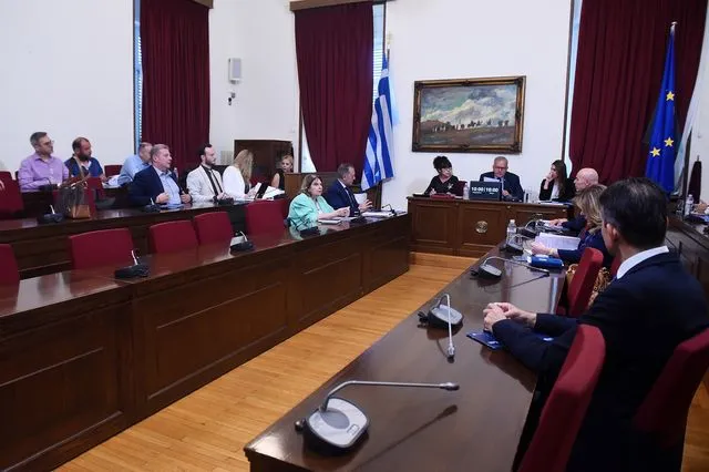 ΔΙΑΡΚΗΣ ΕΠΙΤΡΟΠΗ ΜΟΡΦΩΤΙΚΩΝ ΥΠΟΘΕΣΕΩΝ