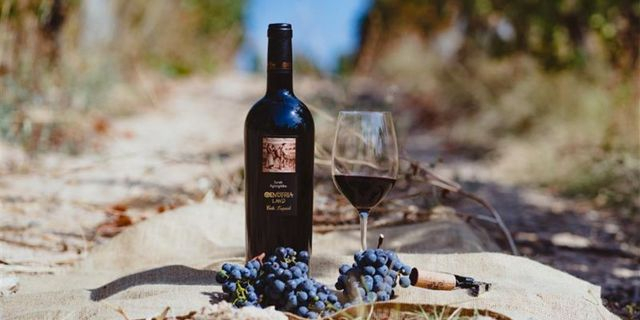 Διπλή Διάκριση για το Οινότρια Γη Syrah-Αγιωργίτικο BIO 2021 στον Διεθνή Διαγωνισμό Concours Mondial de Bruxelles 2025