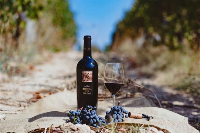 Διπλή Διάκριση για το Οινότρια Γη Syrah-Αγιωργίτικο BIO 2021 στον Διεθνή Διαγωνισμό Concours Mondial de Bruxelles 2025