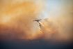 Αεροπλάνο Canadair ενεργεί σε πυρκαγιά που καίει δασική έκταση στη Χίο, Τρίτη 24 Ιουνίου 2025.