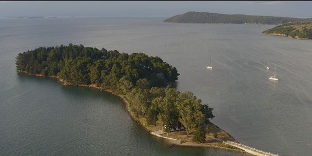 Nestlé Ελλάς και Εναλεία “δίνουν ζωή” στα θαλάσσια λιβάδια του Αμβρακικού