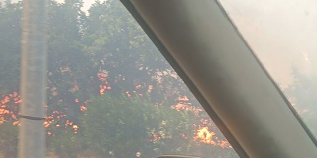 Φωτιά στη Ραφήνα: Έκλεισε η Λεωφόρος Μαραθώνος