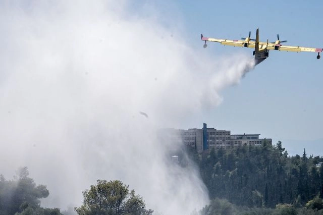 Φωτιά στην Πολυτεχνειούπολη: Πρόστιμα σε δύο μελισσοκόμους και στον Πρύτανη του ΕΚΠΑ