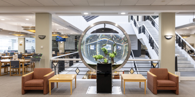 Τι κάνει την ζωή στο Deree τόσο ξεχωριστή;