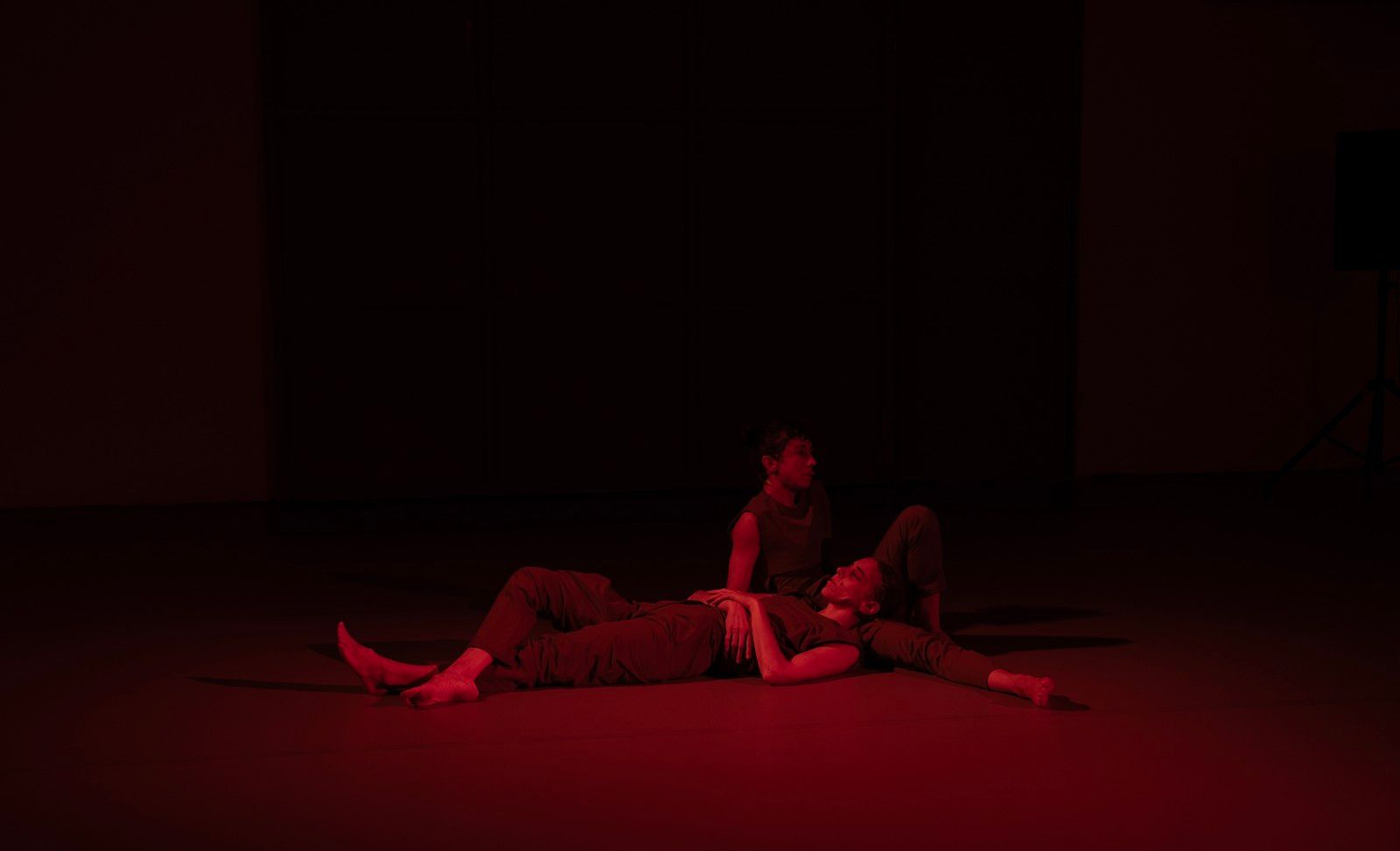 Αγνή Παπαδέλη Ρωσσέτου- Τη μέρα που ανέβηκα το βουνό μέχρι πάνω