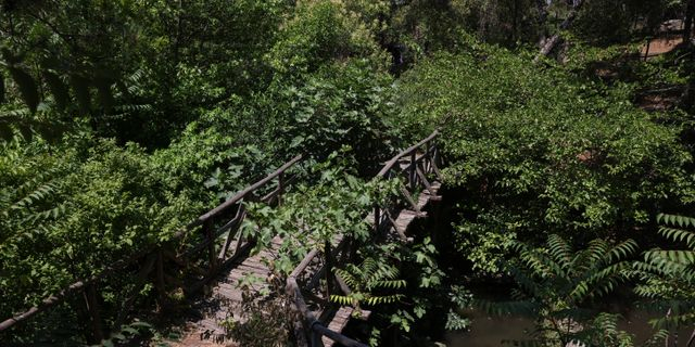 Σέιχ Σου: Γιατί έχουμε ένα δάσος προσβάσιμο μόνο με αμάξι;