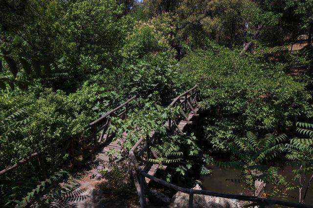 Σέιχ Σου: Γιατί έχουμε ένα δάσος προσβάσιμο μόνο με αμάξι;