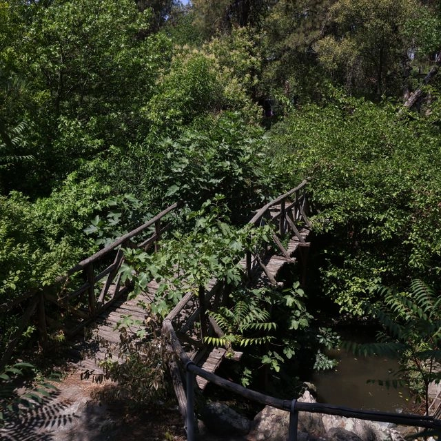 Σέιχ Σου: Γιατί έχουμε ένα δάσος προσβάσιμο μόνο με αμάξι;
