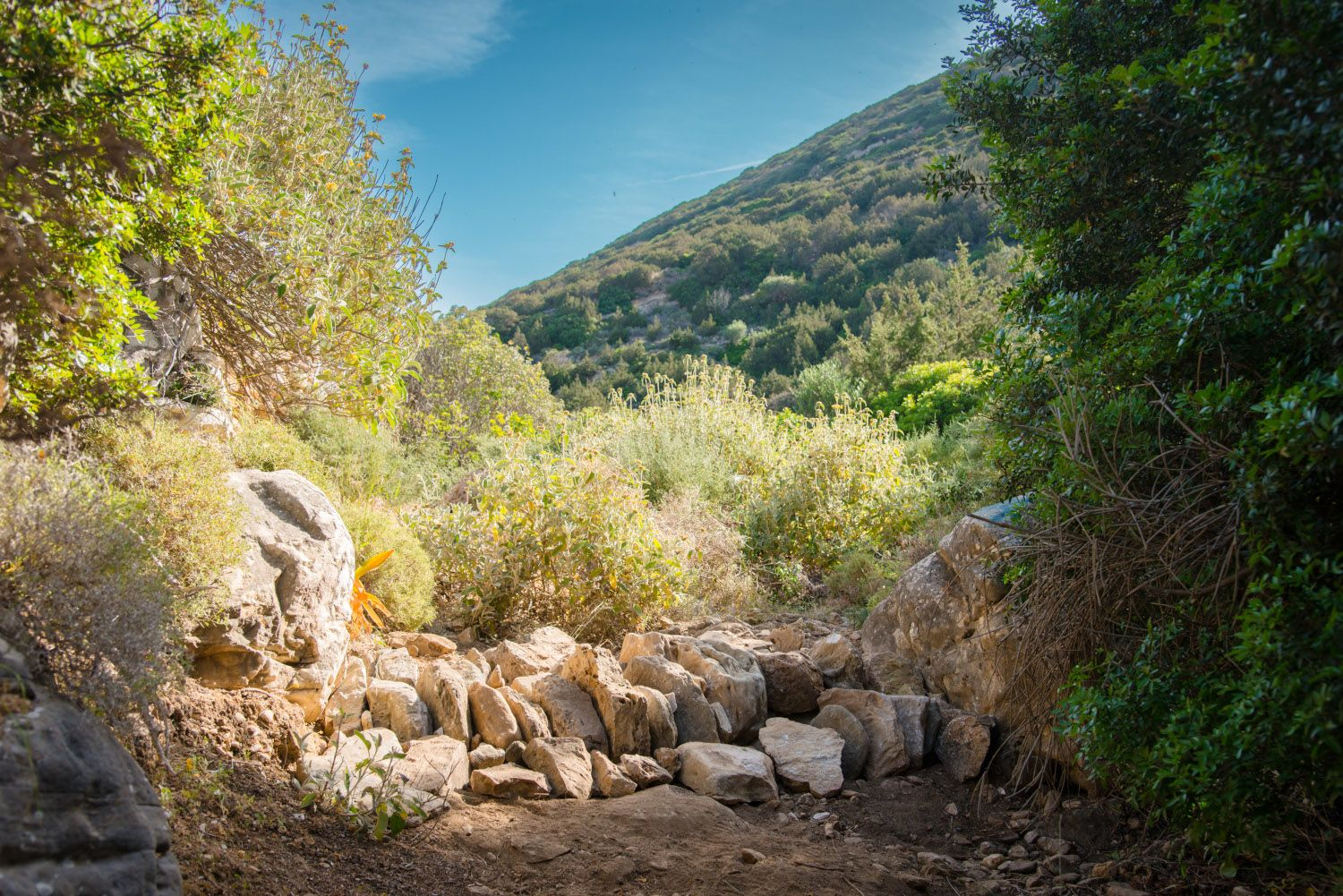 Σίφνος: Αναβιώνουν οι λίθινοι αναβαθμοί κόντρα στην κλιματική κρίση