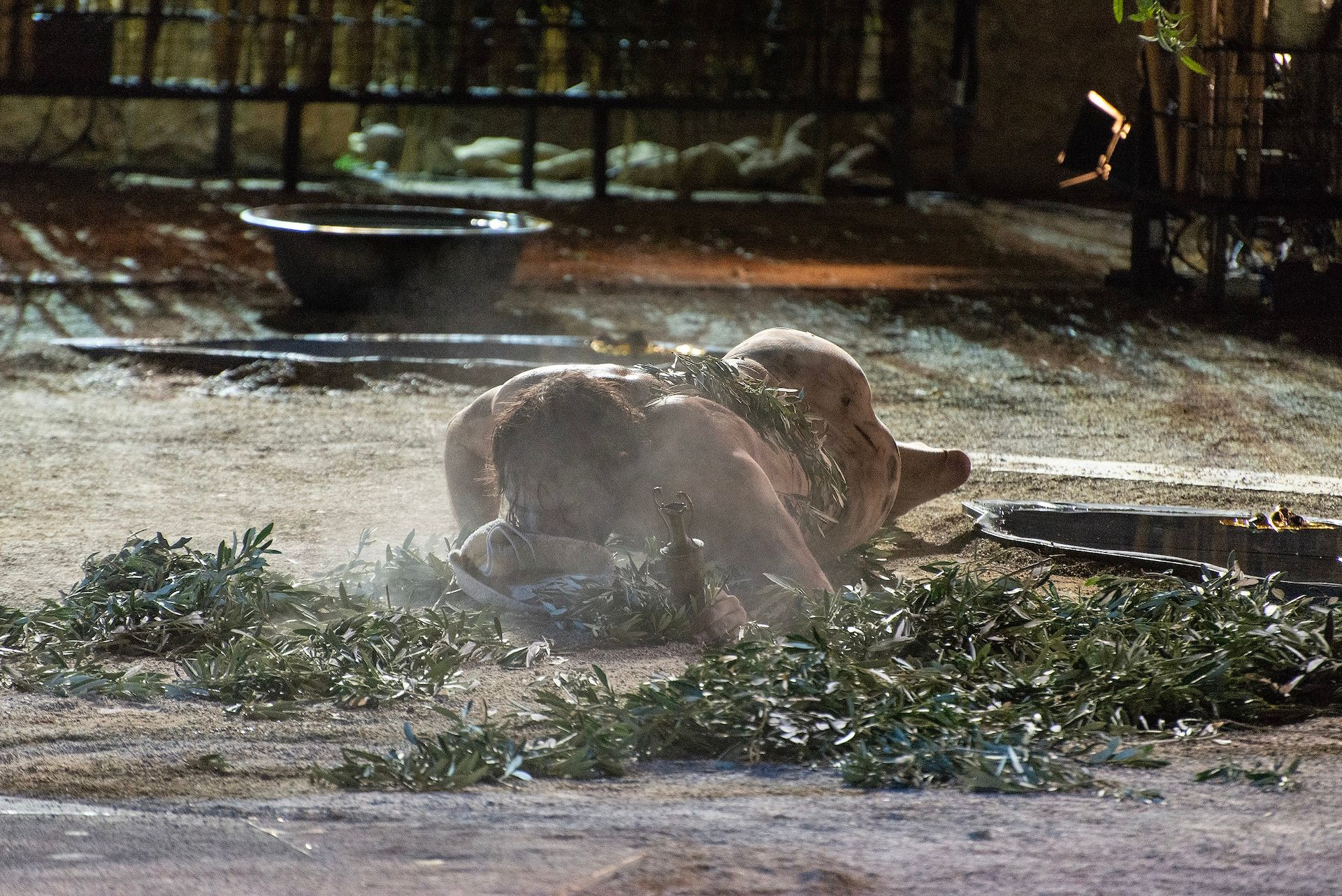 ζ - η – θ, ο Ξένος Μια επιστροφή στις πηγές: Επίσκεψη σε τρεις ραψωδίες της Οδύσσειας