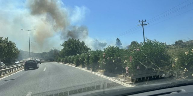 Μεγάλη φωτιά στη Ραφήνα δίπλα σε διάσπαρτες κατοικίες – Εκκενώνονται οικισμοί