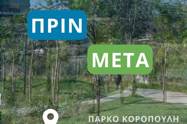 Κώστας Μπακογιάννης: Το πράσινο στην Αθήνα πεθαίνει