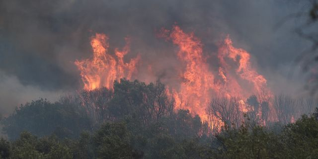 Μεγάλη φωτιά στην Αλεξανδρούπολη – Mήνυμα του 112 για εκκένωση οικισμού