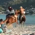 Θάσος: Άλογο ποδοπάτησε 5χρονο κοριτσάκι σε παραλία – Βίντεο σοκ