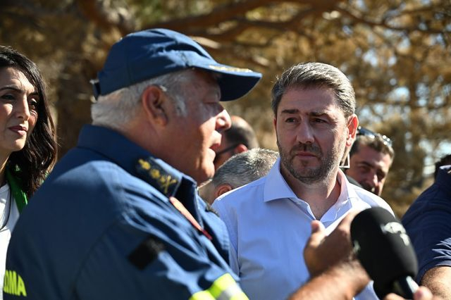 Ανδρουλάκης: Δεν μπορεί κάθε χρόνο να κλαίμε πάνω από τα καμένα