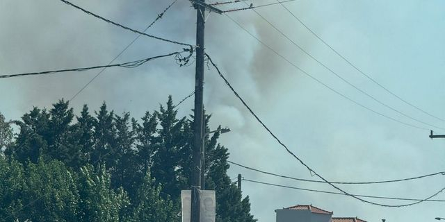 Μεγάλη φωτιά στην Εύβοια – Απανωτά μηνύματα για εκκενώσεις οικισμών