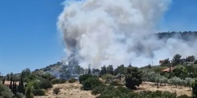 Μεγάλη φωτιά στο Κορωπί, στις αυλές σπιτιών – Συνεχή μηνύματα του 112