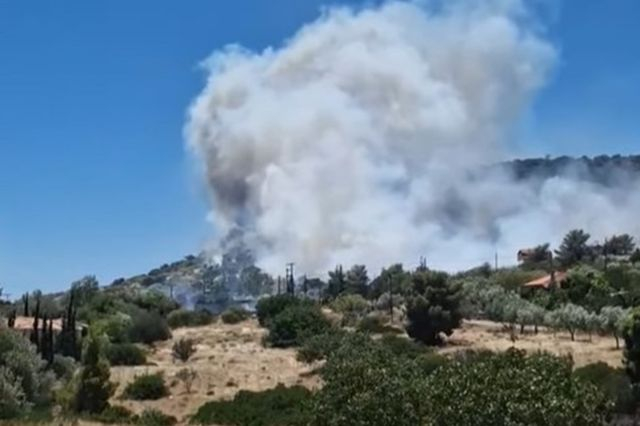 Μεγάλη φωτιά στο Κορωπί, στις αυλές σπιτιών – Συνεχή μηνύματα του 112