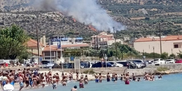 Σε ύφεση η φωτιά στην Πλύτρα Λακωνίας