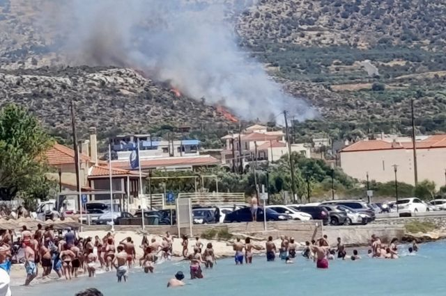 Σε ύφεση η φωτιά στην Πλύτρα Λακωνίας