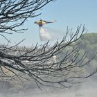 Αλεξανδρούπολη: Υπό έλεγχο η πυρκαγιά στο ρέμα Ειρήνης