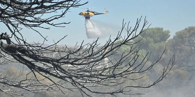 Πυρκαγιά στην περιοχή Άγιος Δημήτριος Κορωπίου Αττικής, Παρασκευή 4 Ιουλίου 2025. Στο σημείο έχουν σπεύσει και επιχειρούν 75 πυροσβέστες με 5 ομάδες πεζοπόρων της 1ης ΕΜΟΔΕ, 25 οχήματα και εθελοντές. Από αέρος συνδράμουν τέσσερα ελικόπτερα και δύο αεροσκάφη.