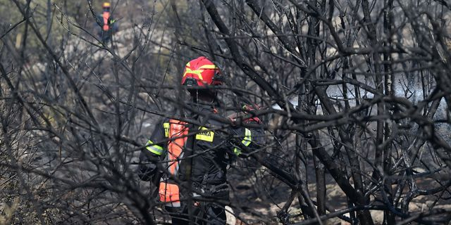 Πανεπιστημιούπολη: Πώς ξέσπασε η φωτιά – Τα σενάρια που εξετάζει η Πυροσβεστική
