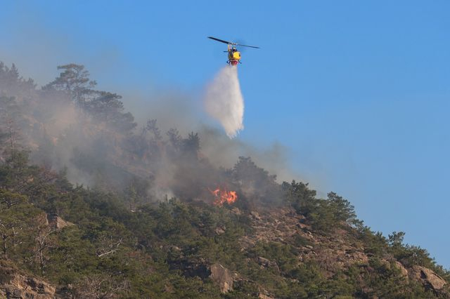 Πυροσβεστική: 50 αγροτοδασικές πυρκαγιές το τελευταίο 24ωρο σε όλη τη χώρα