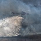 Φωτιά στη Ραφήνα: Πώς θα κινηθούν οι άνεμοι τις επόμενες ώρες