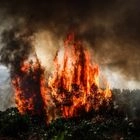 Πυρκαγιά στην Ραφήνα